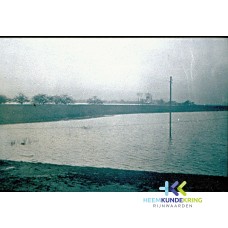 Byland F00000205